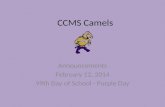 CCMS Camels