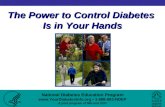 The Power to Control Diabetes  Is in Your Hands