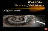 Black Holes:  Vacuums of the Universe