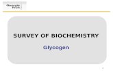 SURVEY OF BIOCHEMISTRY Glycogen