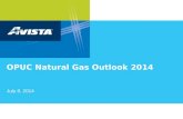 OPUC Natural Gas Outlook 2014