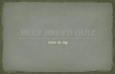 BEEF  BREED QUIZ