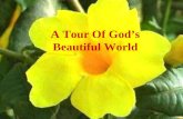 A Tour Of God’s Beautiful World