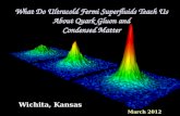 What Do  Ultracold  Fermi  Superfluids  Teach Us About Quark Gluon and Condensed Matter