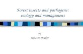 Forest insects and pathogens: ecology and management