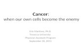 Cancer :  when our own cells become the enemy
