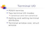 Terminal I/O