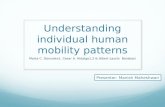 Understanding individual human mobility patterns