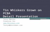 Tin Whiskers Grown on PCBA  Detail Presentation