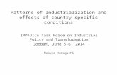 Patterns of Industrialization and effects of country-specific conditions