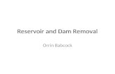 Reservoir and Dam Removal