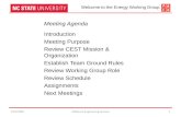 Meeting Agenda Introduction Meeting Purpose Review CEST Mission & Organization