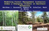 Modeling  Forest Management Scenarios  Under a Changing Climate in  Northern Minnesota