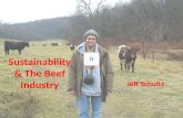 Sustainability & The Beef Industry