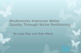 Biodiversity Improves Water Quality Through Niche Partitioning
