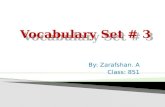 Vocabulary Set # 3