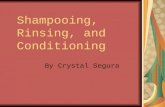 Shampooing, Rinsing, and Conditioning