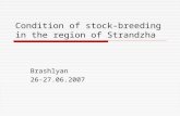 Condition of stock-breeding in the region of Strandzha