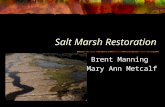 Salt Marsh Restoration