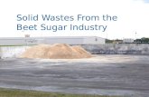 Solid Wastes From the Beet Sugar Industry