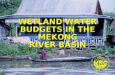 WETLAND WATER BUDGETS IN THE MEKONG RIVER BASIN