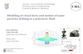 Modeling of visual form and motion of  nano -particles drifting in a polymeric fluid