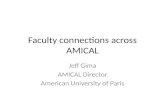 Faculty connections across AMICAL