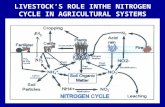 LIVESTOCK’S ROLE INTHE NITROGEN CYCLE IN AGRICULTURAL SYSTEMS