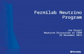 Fermilab Neutrino Program Jim Strait Neutrino Discussion at CERN 26 November 2013