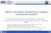 WP1.2: Inundation modelling to support uncertainty analysis