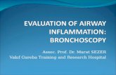 EVALUATION OF AIRWAY INFLAMMATION: BRONCHOSCOPY