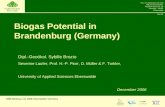 Biogas Potential in Brandenburg (Germany)