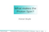 What makes the Proton Spin?