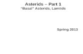 Asterids  – Part 1 “Basal”  Asterids ,  Lamiids