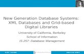 New Generation Database Systems: XML Databases and Grid-based Digital Libraries