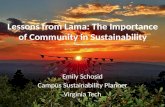 Lessons from Lama: The Importance of Community in Sustainability