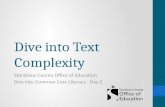 Dive into Text Complexity
