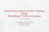 Close Encounters of the Cellular Kind: Modeling T Cell Activation