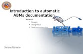 Introduction  to  automatic ABMs documentation