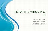 Hepatitis virus A & B