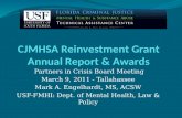 CJMHSA Reinvestment Grant Annual Report & Awards