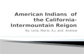 American Indians  of the California-Intermountain  Reigon