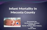 Infant Mortality in Mecosta County