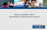 Nervous System: Part I Introduction to the Nervous System