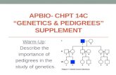 APBIO-  Chpt  14C “Genetics & Pedigrees” Supplement