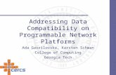 Addressing Data Compatibility on Programmable Network Platforms