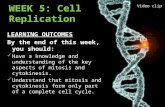 WEEK 5: Cell Replication