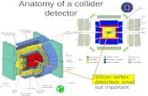 Anatomy of a collider detector