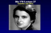 Bio 178 Lecture 27