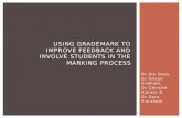 Using  GradeMark  to Improve Feedback and Involve Students in the Marking Process